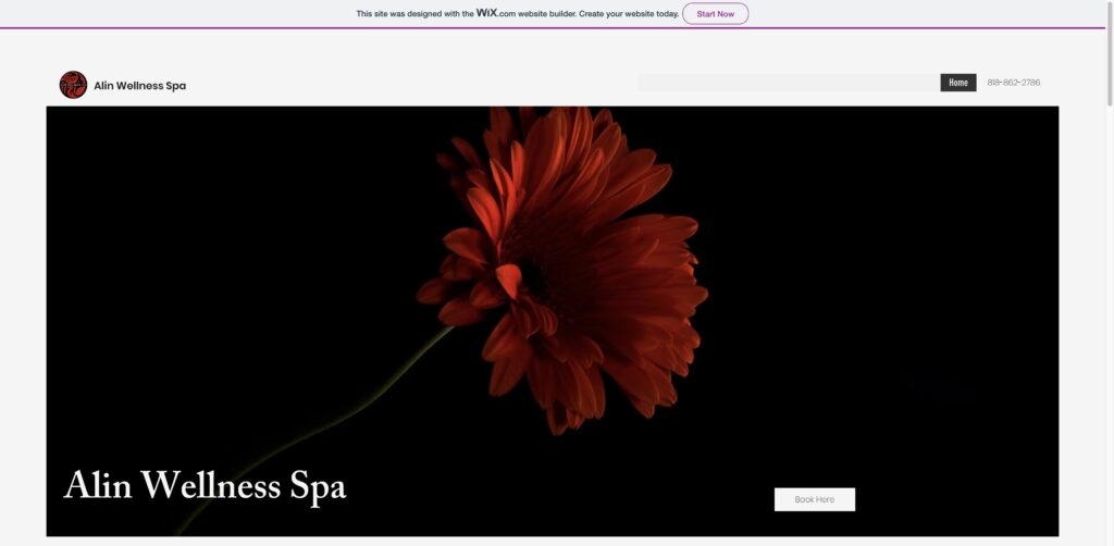 Website screenshot of Alin Wellness Spa - Massage and wellness centers in 4683 Mercury St Suite B