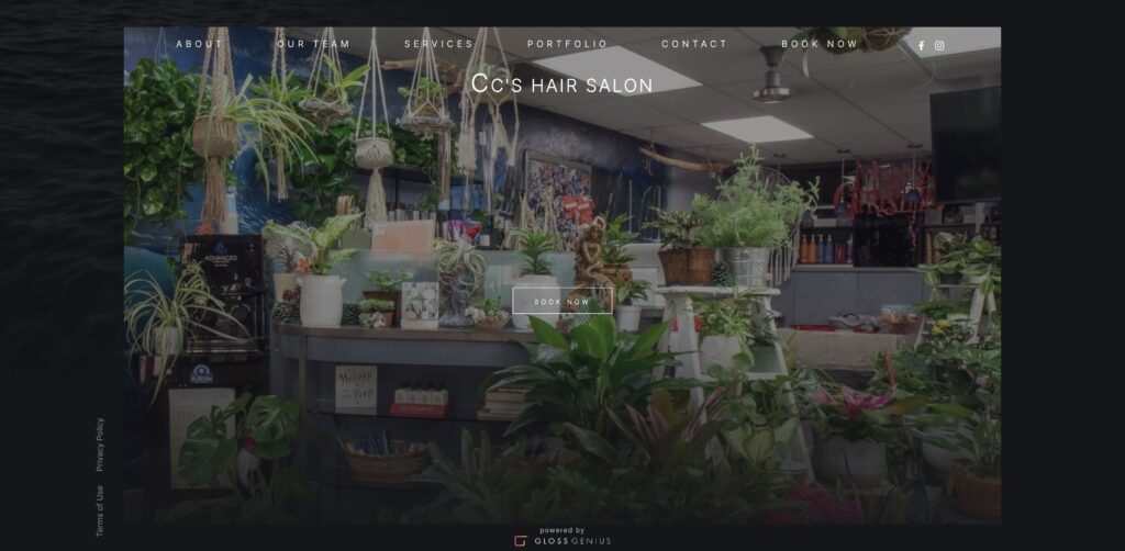 Website screenshot of CC's Hair Salon - Hair salons and beauty services in 10251 Mast Blvd Suite P