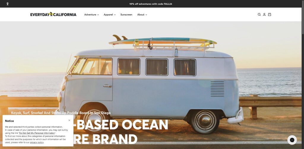Website screenshot of Everyday California - Water sports rental companies in 2261 Avenida De La Playa