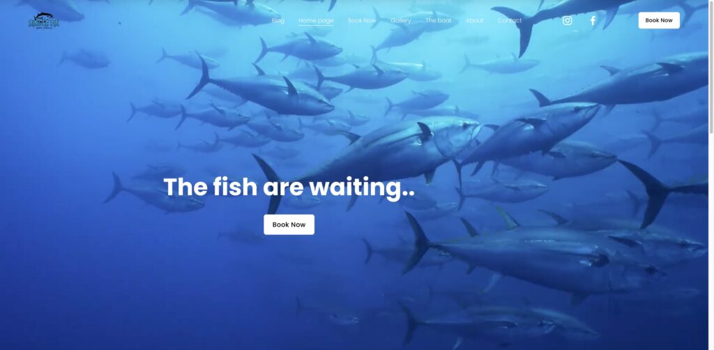 Website screenshot of Single Fin Sport Fishing - Fishing charters in 6901 Airoso Ave