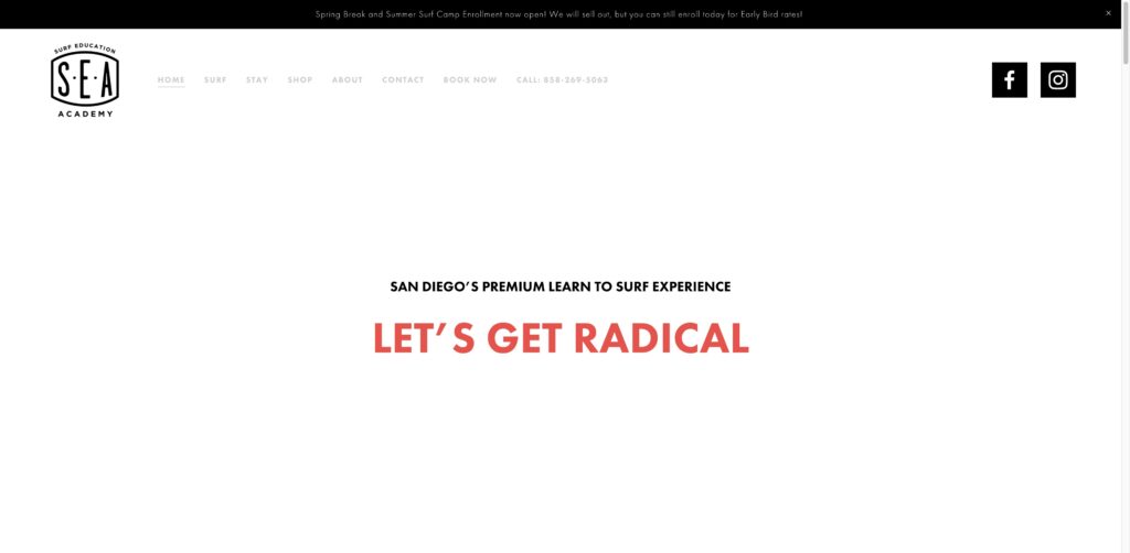 Website screenshot of Surf Education Academy - Surf schools and instructors in 2132 Avenida De La Playa